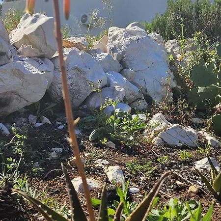 Apartment Bili Galeb Vir