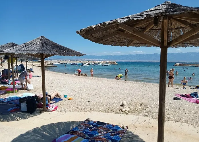Bili Galeb * Vir