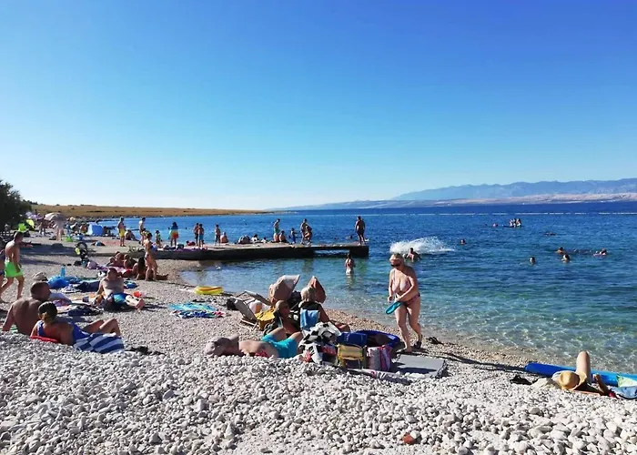 Bili Galeb