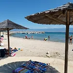 Bili Galeb * Vir
