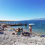 Bili Galeb