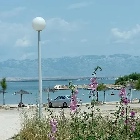 Bili Galeb Apartamento *