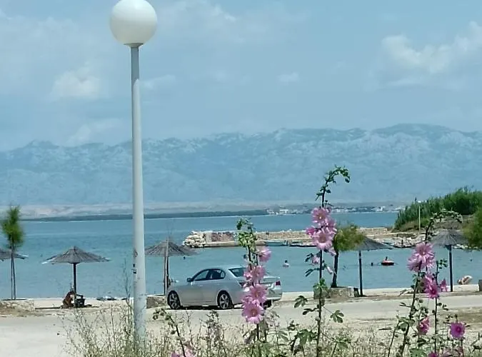 Bili Galeb Apartamento *