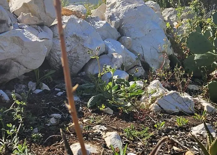 Apartamento Bili Galeb Vir